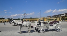 la Gloriette et le palais de Schönbrunn