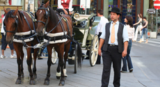 Tours de ville francophones en Autriche: tours panoramiques en autobus, minibus et limousine