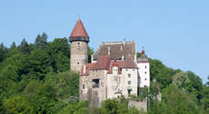 Tours de ville francophones en Haute Autriche: tours panoramiques en autobus, minibus et limousine